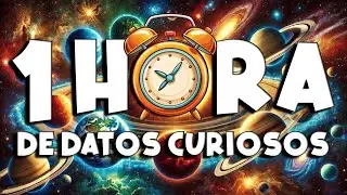 ¡ 1 HORA sin pausas de DATOS CURIOSOS y COSAS QUE NO SABÍAS ! ⏰😲711 #curiomaníatv
