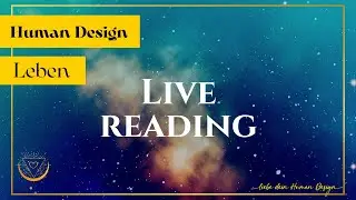 Interview mit Sebastian Hauk: Teil 2 / Live Human Design Chart 