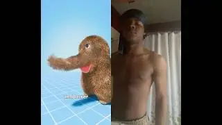 #animals #feedpage #duet #fypシ #viralcontent #zachdfilms #xireunkown #viral #feedpage #content