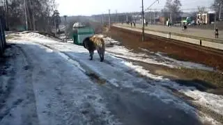 MOV01412
