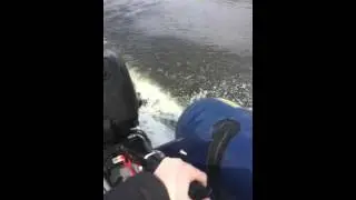 Rubberboot 6 pk