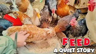 Snow, Silence & Farm Animals | Peaceful Winter Feeding
