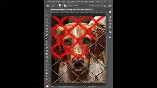 How to Remove Fence From a Image #photoshop #tricks #shorts