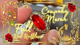 Join sini bro kalo mau lihat red rafflesia dan cempaka merah bengkulu