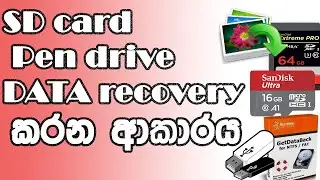 sd card pen drive data recovery in sinhala 🇱🇰