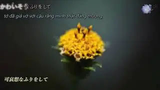 (vietsub)c&uacute;c vạn thọ マリーゴールド