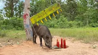Build Underground Wild boar Trap Using Big Wood & Deep Hole #animaltrap #shortvideo