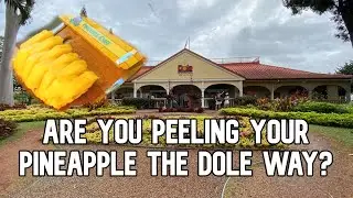 How To Peel And Cut  A Pineapple - The DOLE  Plantation Way | Oahu, Hawaii :)