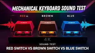 Red Switch vs Brown Switch vs Blue Switch | Mechanical Keyboard Sound Test & Comparison
