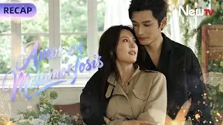 Recap 03 Amor en Metamorfosis (Long Planned Love) | NewTV Spanish