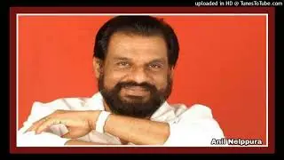 Swarangale Ningal Niramaayennil സ്വരങ്ങളേ നിങ്ങള്&zwj; നിറമായെന്നില്&zwj;...!!!(Anil Nelppura )