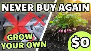 This One Plant Eliminates My $300 Fertilizer Bill Every Year