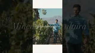 Achaval Ferrer Fincas 2019: la autenticidad de cada terroir en su m&aacute;xima expresi&oacute;n.