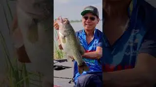 BASS GIGANTE NO NAKAMAR&Acirc;O!!  #fishing #pescaria #pesca