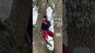 Как НИКОГДА не проигрывать Прятки на природе