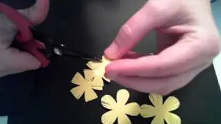 Fringe flower