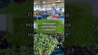 Как и где продать микрозелень #микрозелень