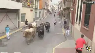 SEGUNDO ENCIERRO de Les Penyes En Festes de Vall d uixo 2025   Toros de Benavent