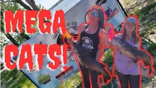 Calamus MONSTER Channel Catfish Shallow BOBBERS!! Day 1 (PB Smashing good time)
