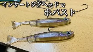 【6102MLFS-19】インサートジグヘッドでホバストしてみた！！PEホバストは微振動でめちゃロールする？？【ライアミノー】