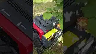 Robot BlueBird FM 24-70
