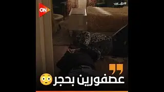 الشيطان واقف يتعلم من سميحة إزاي يغدر بالبشر👹 مـ ـوتــ ـت جمال وهددت رباح وطلعت كسبانة من كله😳😳
