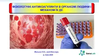 Фізіологічні антикоагулянти в організмі людини і механізм їх дії