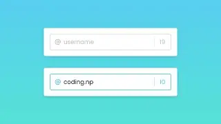 Limit Input Characters using HTML CSS & JavaScript