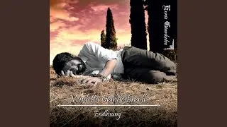 Endl&ouml;sung (feat. Elisa Innocenti)