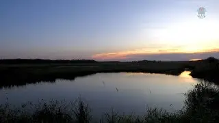 Mead Wildlife Area: One of Wisconsin&rsquo;s Largest Wildlife Areas