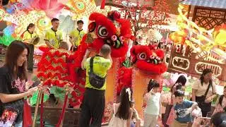 Twin Lion Dance Performance at Gurney Plaza Penang | Chinese New Year Celebration