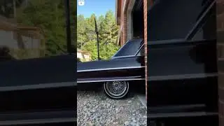 impala gringo rodas raiadas🤖