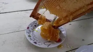 Thats Lithuanian honey. Tai yra Lietuvi&scaron;kas medus.