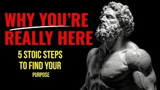 Why You're Here  - TRUE PURPOSE OF LIFE AND HOW TO FIND IT | STOICISM