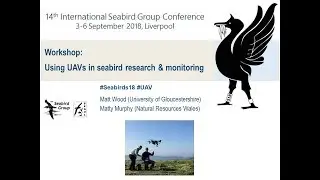 Using UAVs in Seabird Research and Monitoring (Part 1)