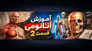 آموزش آناتومی قسمت 2 #gym #آموزش #آناتومی #بدنسازی 