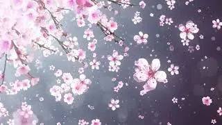 Relaxing Calm Music Healing Calming Stress and Anxiety, Heal Mind, Body and Spirit