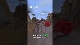 Minecraft's Rarest Seed #minecraft #minecraftmemes #minecraftshorts #shorts #fyp #viral #gaming