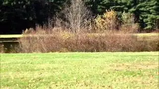 428 Route 6 West Coudersport PA