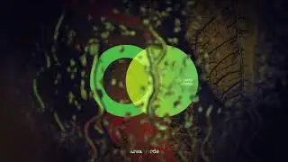 West Cartel - Arpadox (Original Mix) // Area Verde