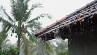30 Minutes of Rain Sounds on the Roof for Insomnia