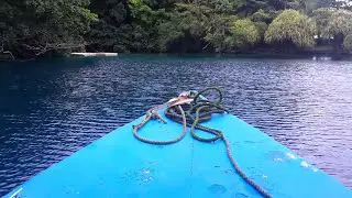 LIVE from the Blue Lagoon in Port Antonio,  PORTLAND Jamaica!