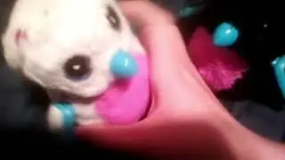 Glittery bearakeet part 3 - FFINALLY! Had to take a short break from the series but we're back!