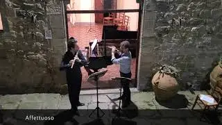 H&auml;ndel - Trio Sonate no.2 in d-moll - HWV 381 - Gauci-Ancelin, Pallottelli, Higuma