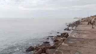JUEVES 5 DE FEBRERO 2026.