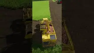 Red Beet Harvesting #farmingsimulator22 #fs22 #farming #beetroot #youtubeshorts