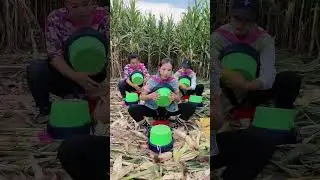 Rural Farmer #5443