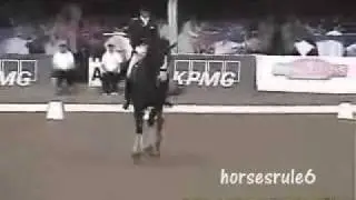*SHOULD I FINISH? Horses-Cha Cha Slide