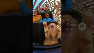 When you said &ldquo;let&rsquo;s do something chill&rdquo; and ended up front row on the drop 😹🎢
