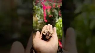 Simple imli recipe ❤️